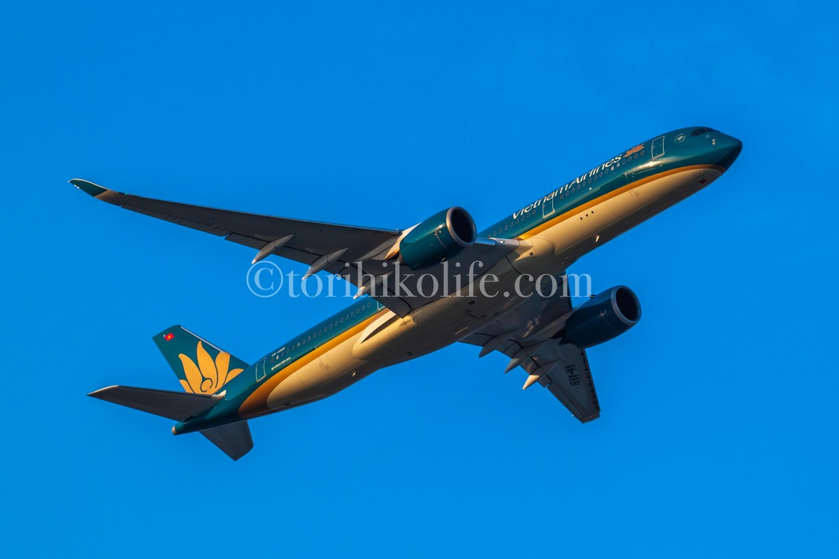 日が傾きかけて西日を浴びながら離陸するベトナム航空のA350