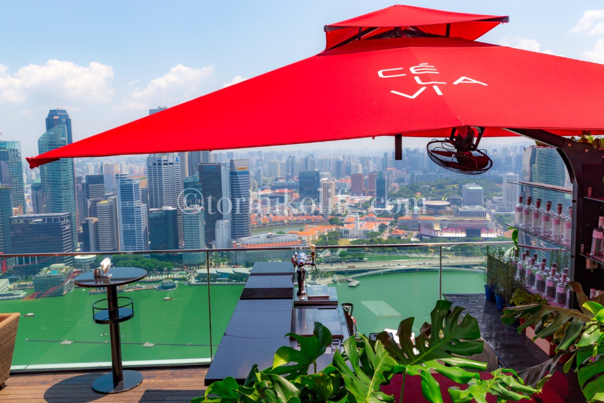 シンガポールの景色を堪能しながら格安で利用できるルーフトップバー『セラヴィ』