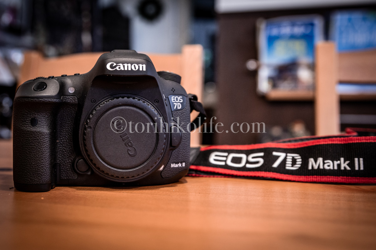 ベビーグッズも大集合 キヤノン EOS 7D Mark II EF-S18-135 IS USM レンズキット W-E1