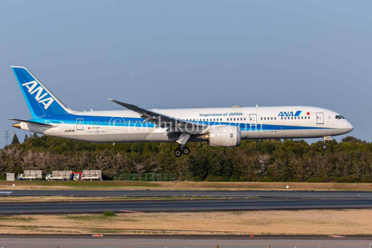 2023年9月最新【全日本空輸(ANA)】保有機材まとめ。登録&退役情報と現在運航中の特別塗装機一覧 | とりひこライフ