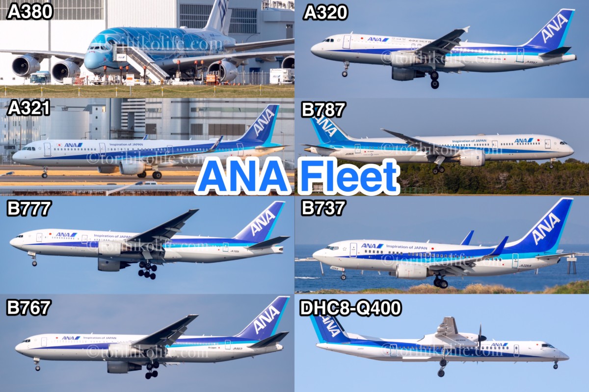 2021年12月更新【全日本空輸(ANA)】保有機材まとめ。退役情報やスペマ 