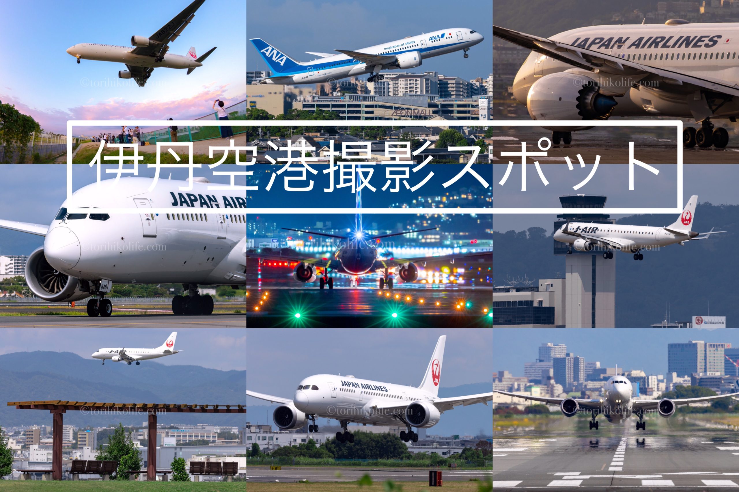 伊丹空港 大阪国際空港 飛行機撮影スポット とりひこライフ
