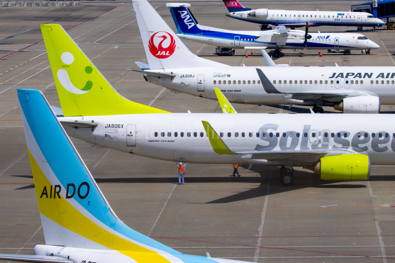 セントレア 中部国際空港 飛行機撮影スポット とりひこライフ