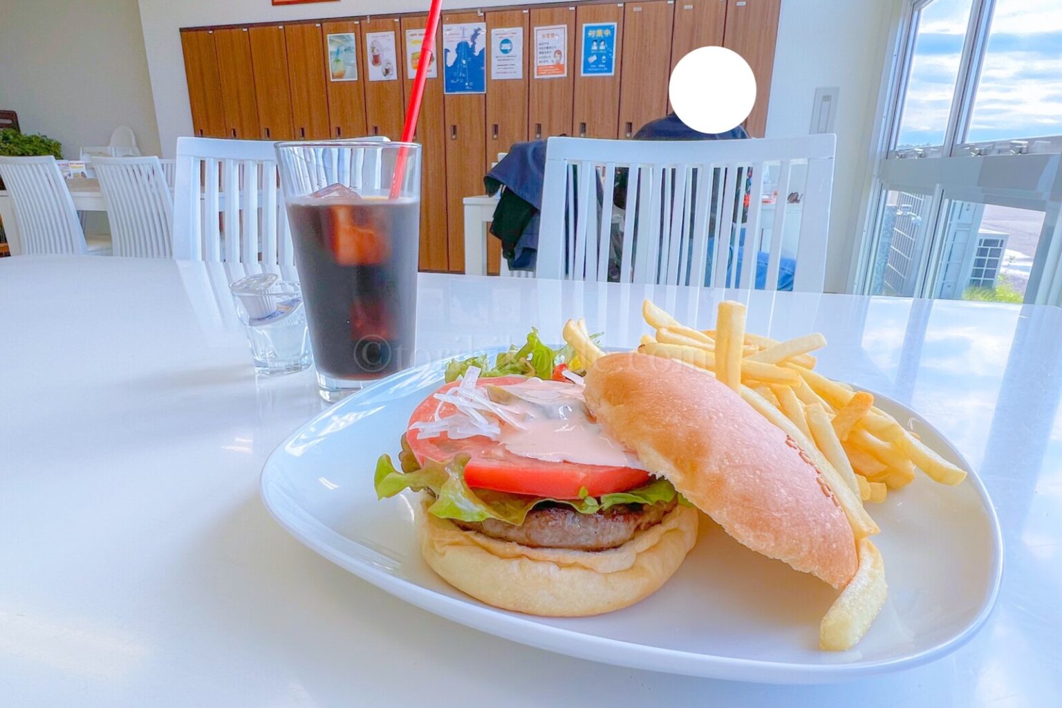 【調布の飛行機カフェ】「プロペラカフェ」は窓から飛行場を一望できる穴場スポット とりひこライフ